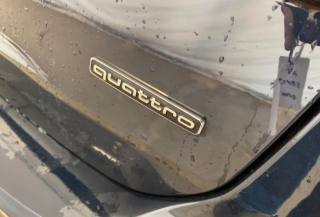 AUDI A6 usata, con Fendinebbia