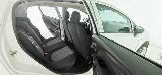 FIAT Punto usata 46