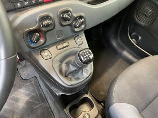 FIAT Panda usata 18