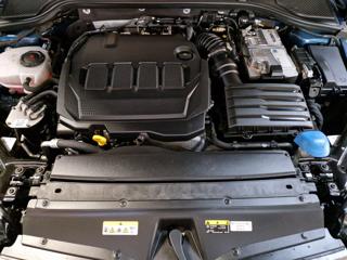 SKODA Octavia usata, con Cruise Control