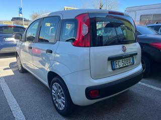 FIAT Panda usata, con Airbag Passeggero