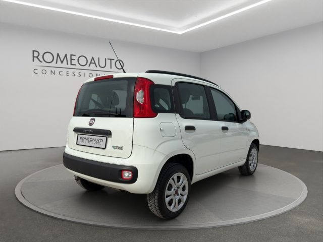 FIAT Panda usata 5
