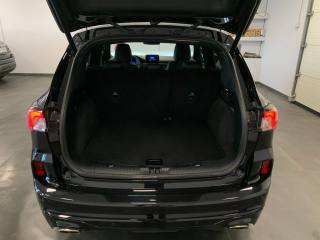 FORD Kuga usata, con Volante in pelle