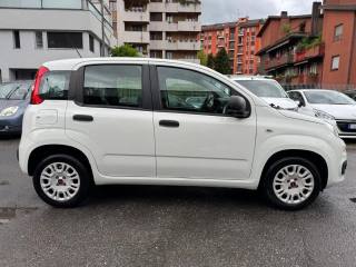 FIAT Panda usata, con Airbag Passeggero