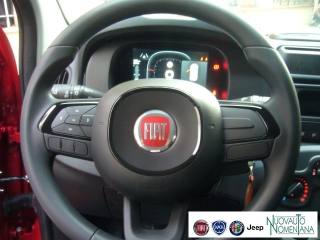 FIAT Panda usata, con Volante multifunzione