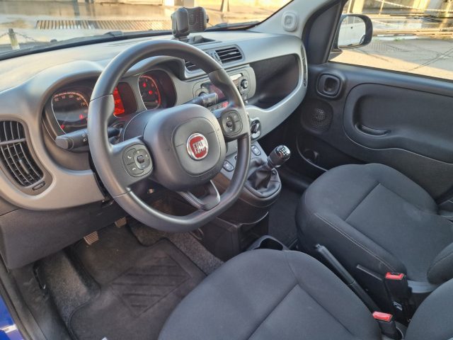 FIAT Panda usata, con Cronologia tagliandi