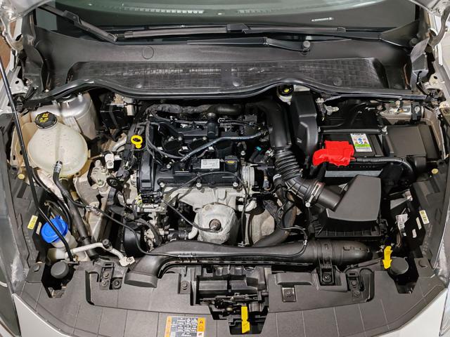 FORD Fiesta usata, con Bracciolo