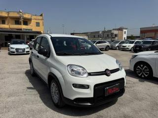 FIAT Panda usata, con Airbag