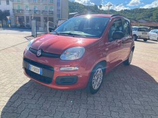 FIAT Panda usata, con Airbag Passeggero