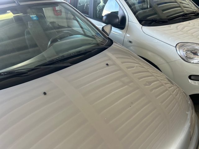 FIAT Punto usata 4