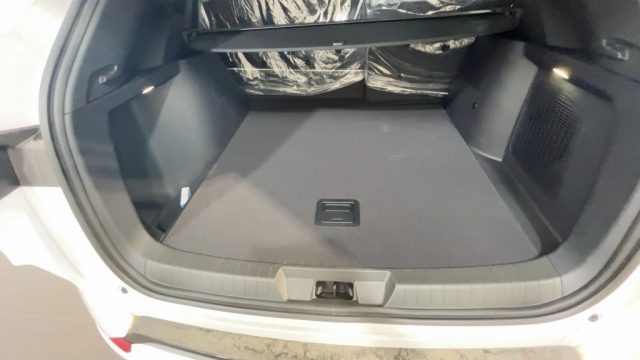 BYD Seal usata, con Controllo automatico clima