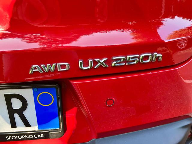 LEXUS UX 250h usata 21
