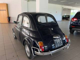 FIAT 500L usata 6