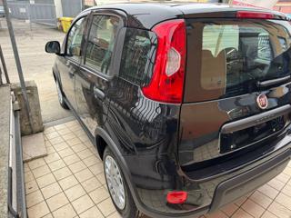 FIAT Panda usata, con Antifurto