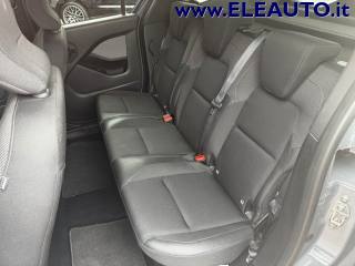 RENAULT Kangoo usata, con Cruise Control