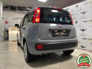 FIAT Panda usata 27