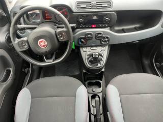 FIAT Panda usata, con Controllo trazione