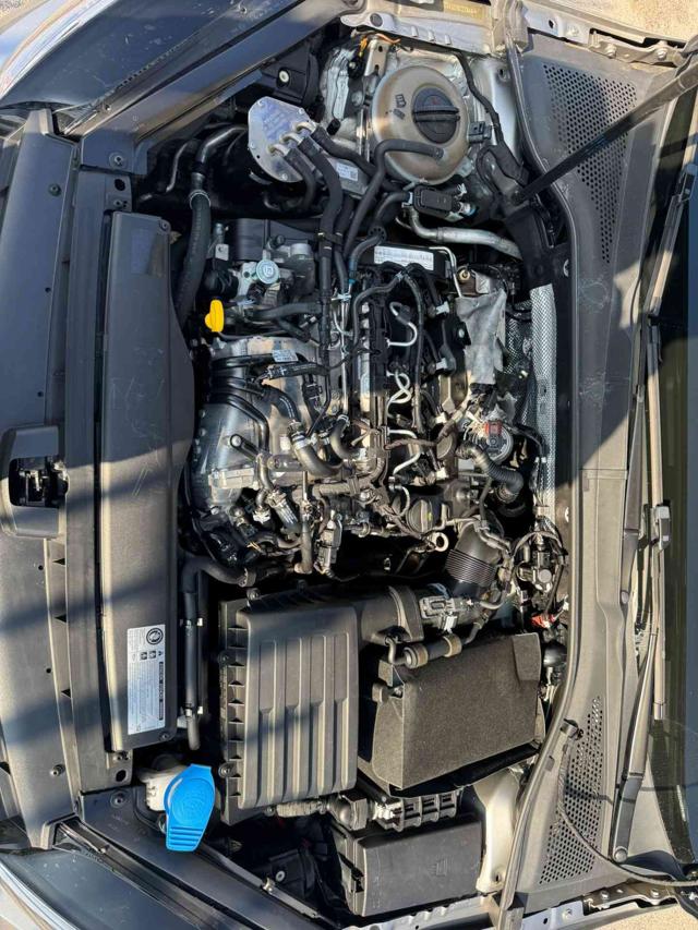 VOLKSWAGEN Golf usata, con Airbag testa