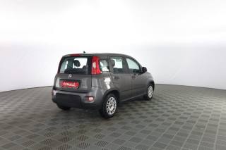 FIAT Panda usata 3