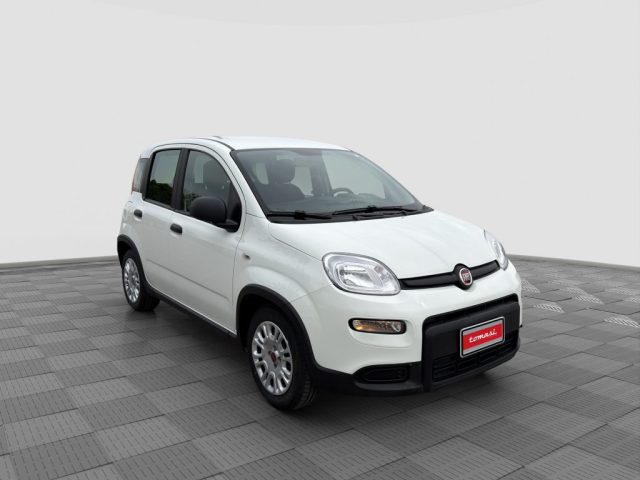 FIAT Panda usata 6