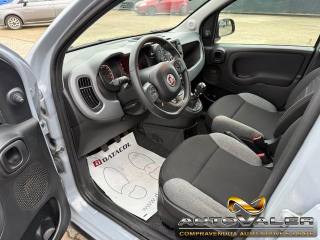 FIAT Panda usata, con Airbag Passeggero