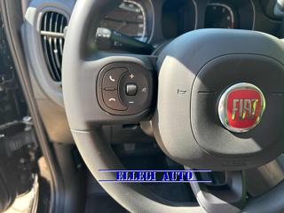 FIAT Panda Cross usata, con Immobilizzatore elettronico