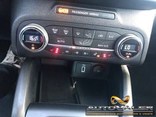 FORD Focus usata, con Fendinebbia