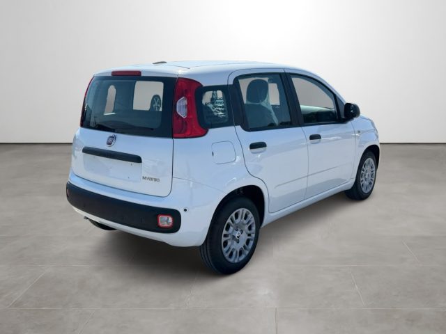 FIAT Pandina usata, con Airbag Passeggero