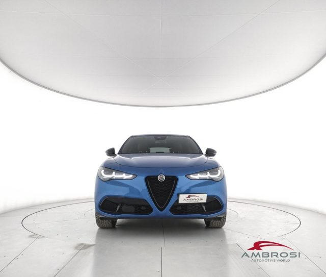 ALFA ROMEO Stelvio usata 4