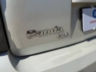 FIAT Panda usata, con Fendinebbia