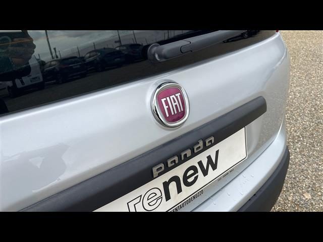 FIAT Panda usata 13