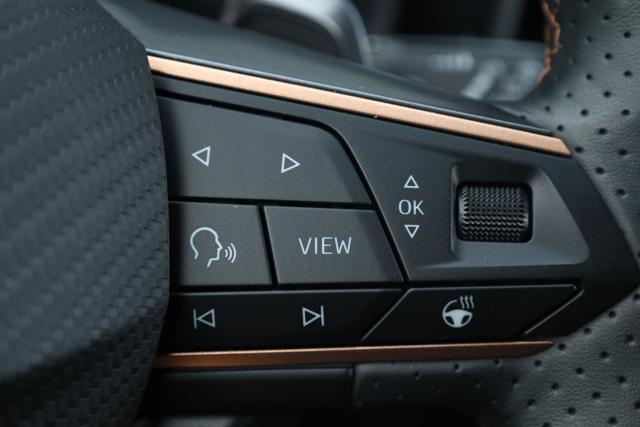 CUPRA Leon usata, con Bracciolo