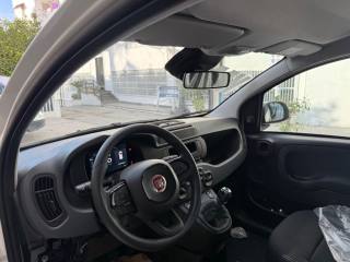 FIAT Panda usata, con Immobilizzatore elettronico