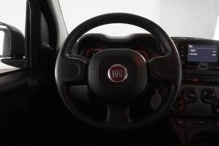FIAT Panda usata 12