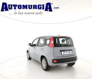 FIAT Panda usata, con Airbag laterali
