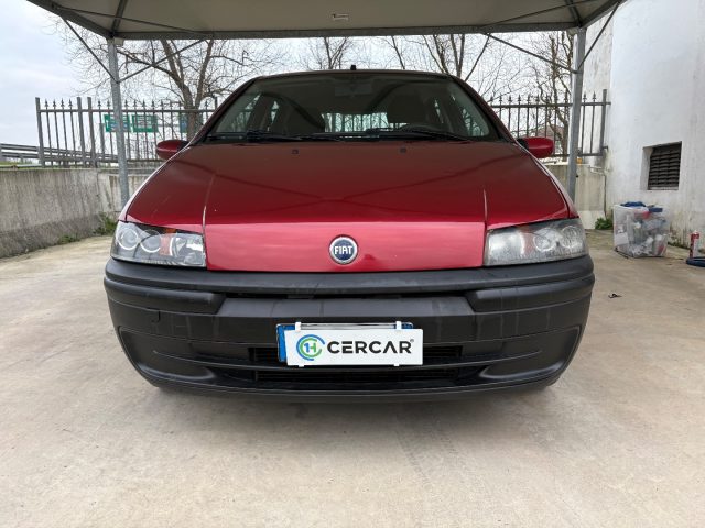 FIAT Punto usata, con Airbag