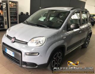 FIAT Panda usata, con Antifurto