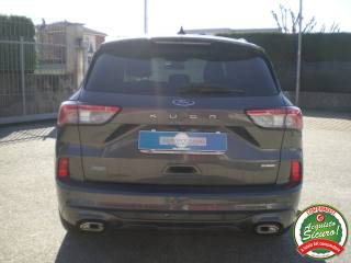 FORD Kuga usata, con Chiusura centralizzata