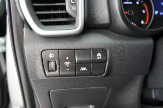 KIA Sportage usata 51