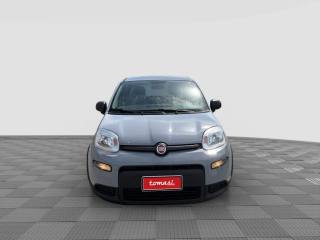 FIAT Panda usata 7