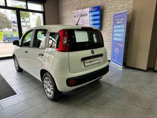 FIAT Panda usata, con Chiusura centralizzata