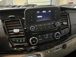 FORD Transit Custom usata, con USB