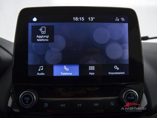 FORD EcoSport usata 14