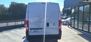 FIAT Ducato usata 12