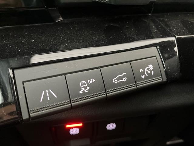 RENAULT Austral usata 23