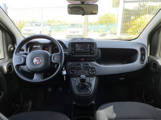 FIAT Panda usata 4
