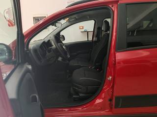 FIAT Panda Cross usata, con Climatizzatore