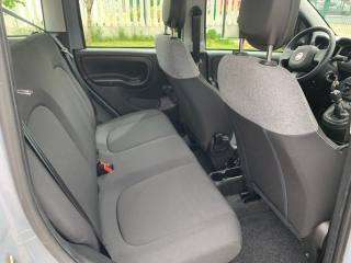 FIAT Panda usata, con Cronologia tagliandi