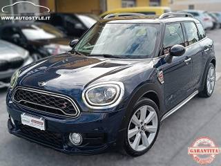 MINI Countryman usata, con Controllo vocale