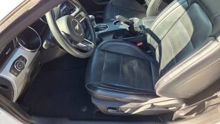 FORD Mustang usata, con Fendinebbia